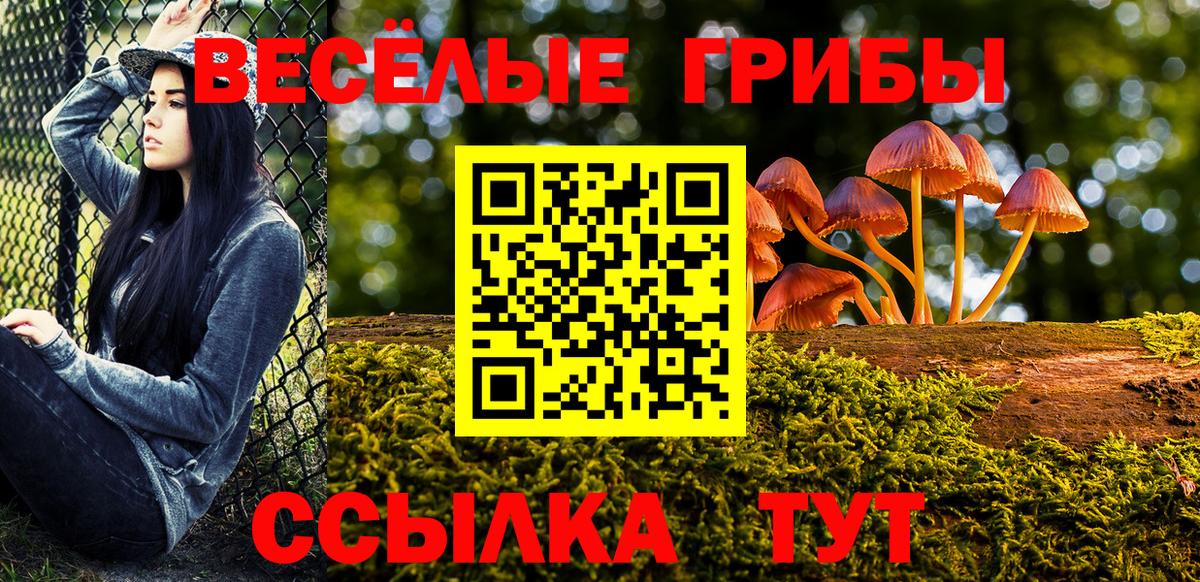 Острогожск  Галлюциногенные грибы ЛСД  Вход с VPN  Псилоцибиновые грибы прущие грибы 
